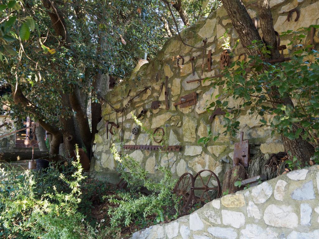 Poggio Alla Rocca Roccastrada Exteriér fotografie